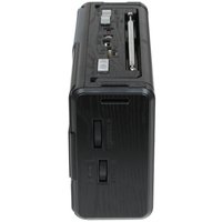 Радиоприемник Aceline AR550 черный