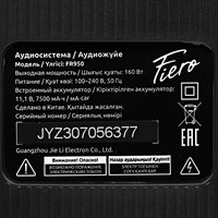 Портативная аудиосистема Fiero Hope 100 FR950, черный