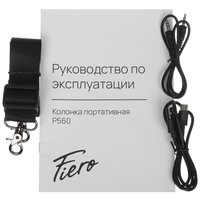 Портативная колонка Fiero Fortune P560, черный