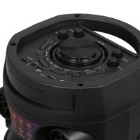 Портативная аудиосистема Fiero Wonder V450, черный