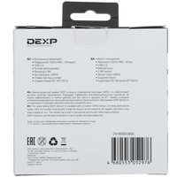 Веб-камера DEXP Chat M100R1