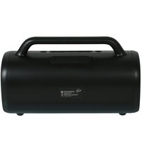 Портативная колонка Fiero Blackline Huge FR560, черный