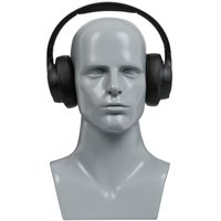 Беспроводные/проводные наушники JBL Tune 720BT  черный 2023