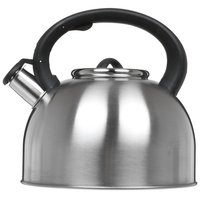 Stovetop kettle Aceline TS-400 silver