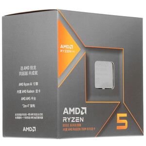 Купить Процессор AMD Ryzen 5 8600G BOX в интернет-магазине DNS