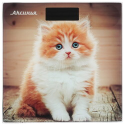 Изображение товара Весы Аксинья КС-6000 разноцветный