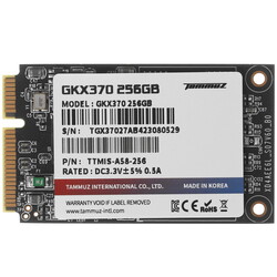 Изображение товара 256 ГБ MSATA накопитель Tammuz GKX370 [TGX37256A58]