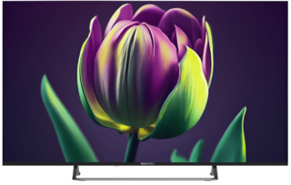Изображение товара 55" (139 см) Телевизор Topdevice TDTV55CS06U черный