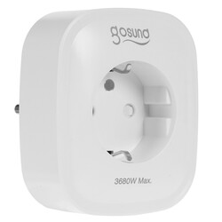 Изображение товара Умная розетка Gosund Smart plug 2 USB outlet