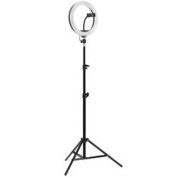 Изображение товара Кольцевая лампа FinePower RL-4