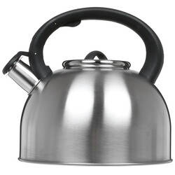 Изображение товара Чайник для плиты Aceline TS-400 серебристый