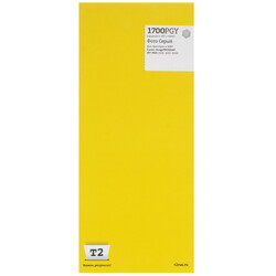 Изображение товара Картридж T2 IC-CPFI-1700PGY фото-серый