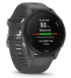 Изображение товара Спортивные часы Garmin Forerunner 255
