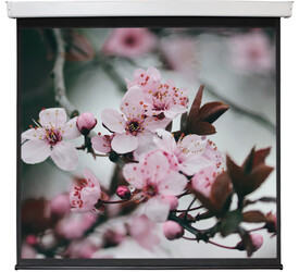 Изображение товара 100" Экран для проектора Digis Electra-F DSEF-1105