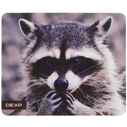 Изображение товара Коврик DEXP OM-XS Racoon (XS) разноцветный