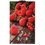 Водонагреватель газовый Wertrus 10EG BERRY