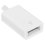 Кабель Apple USB Type-C - USB Type-A белый