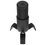 Микрофонный комплект Ritmix RDM-290 черный