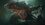 Игра Lords of the Fallen (Xbox Series X)