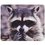 Коврик DEXP OM-XS Racoon (XS) разноцветный