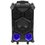 Портативная аудиосистема National NSM-V450, черный