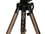 Shtativ DEXP WT-3550 jigarrang