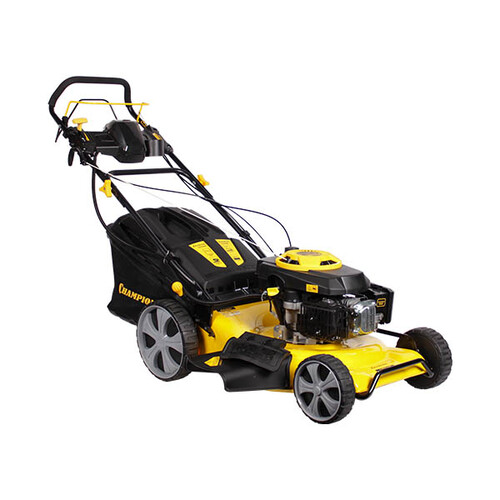 Champion lm5346e аккумулятор