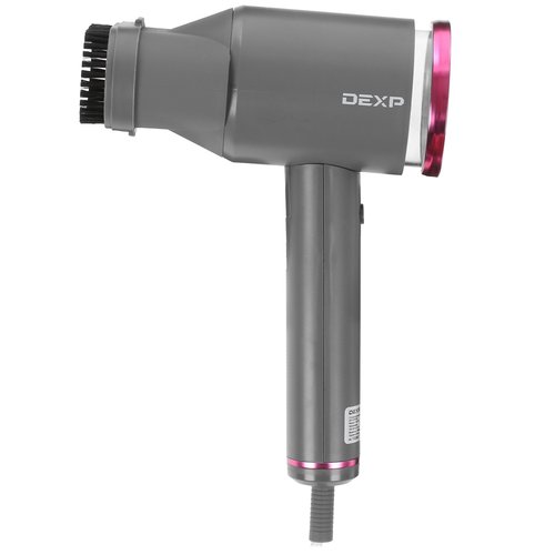 Steamer DEXP CS-573 gray