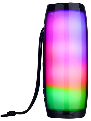 Portable speaker Aceline APS210, black