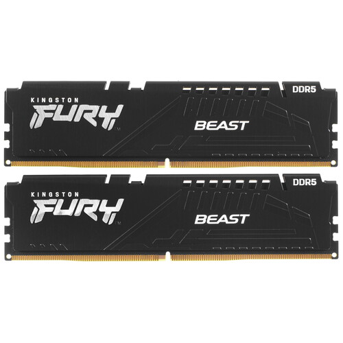 Купить Оперативная память Kingston FURY Beast Black [KF556C36BBEK2-32] 32 ГБ в интернет-магазине DNS. Характеристики, цена Kingston FURY Beast Black | 5074966.