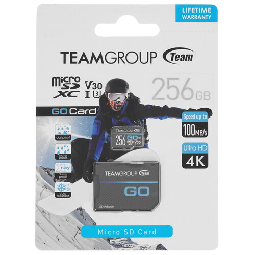 Карта памяти TEAMGROUP Go microSDXC 256 ГБ [TGUSDX256GU303]