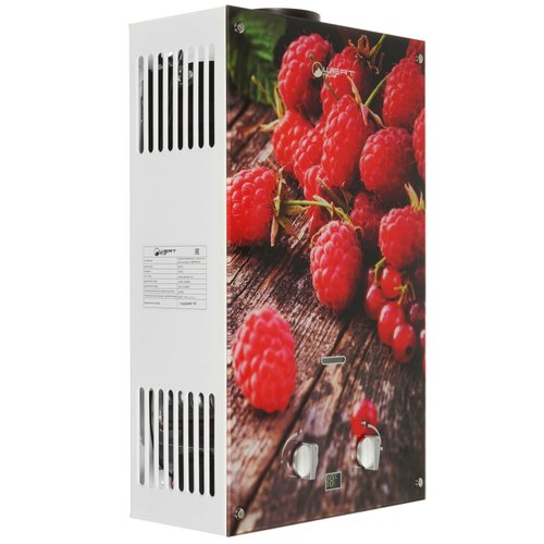 Водонагреватель газовый Wertrus 10EG BERRY