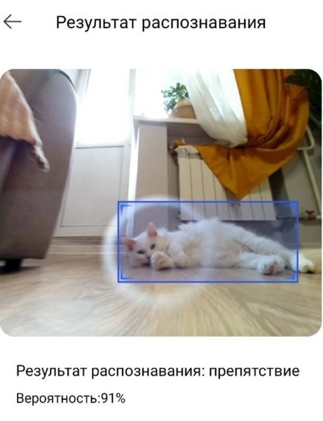 Домашние питомцы в обзорах DNS Клуб | Приемная — Поток Клуб DNS