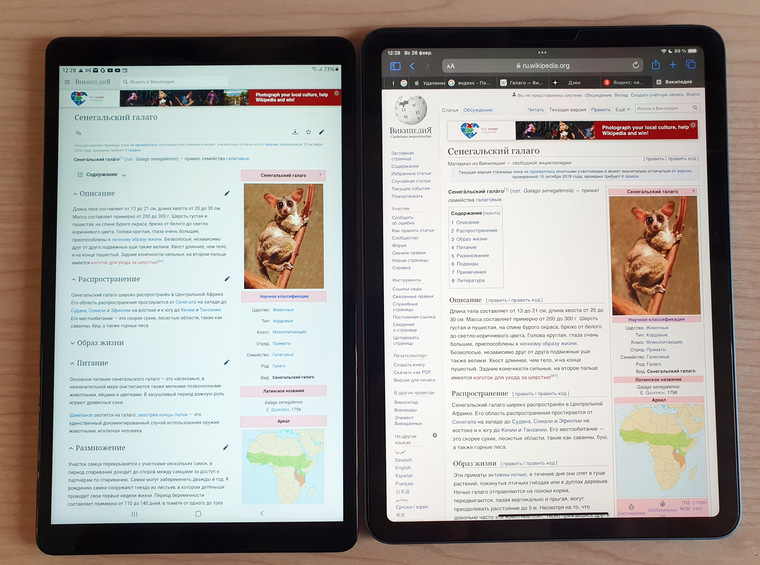 Вид страницы в Samsung Tab 10.5 и iPad Air 2022