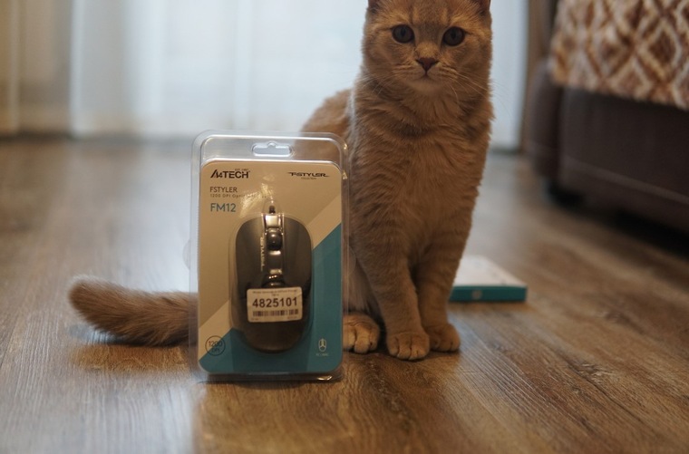 Домашние питомцы в обзорах DNS Клуб | Приемная — Поток Клуб DNS