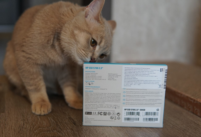 Домашние питомцы в обзорах DNS Клуб | Приемная — Поток Клуб DNS